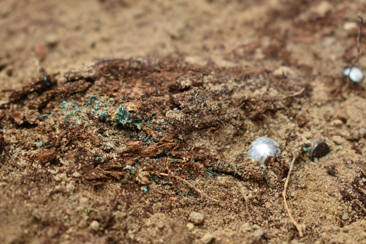 01.12.2025: Niemegk, Straße der Jugend, Aktuelle Funde